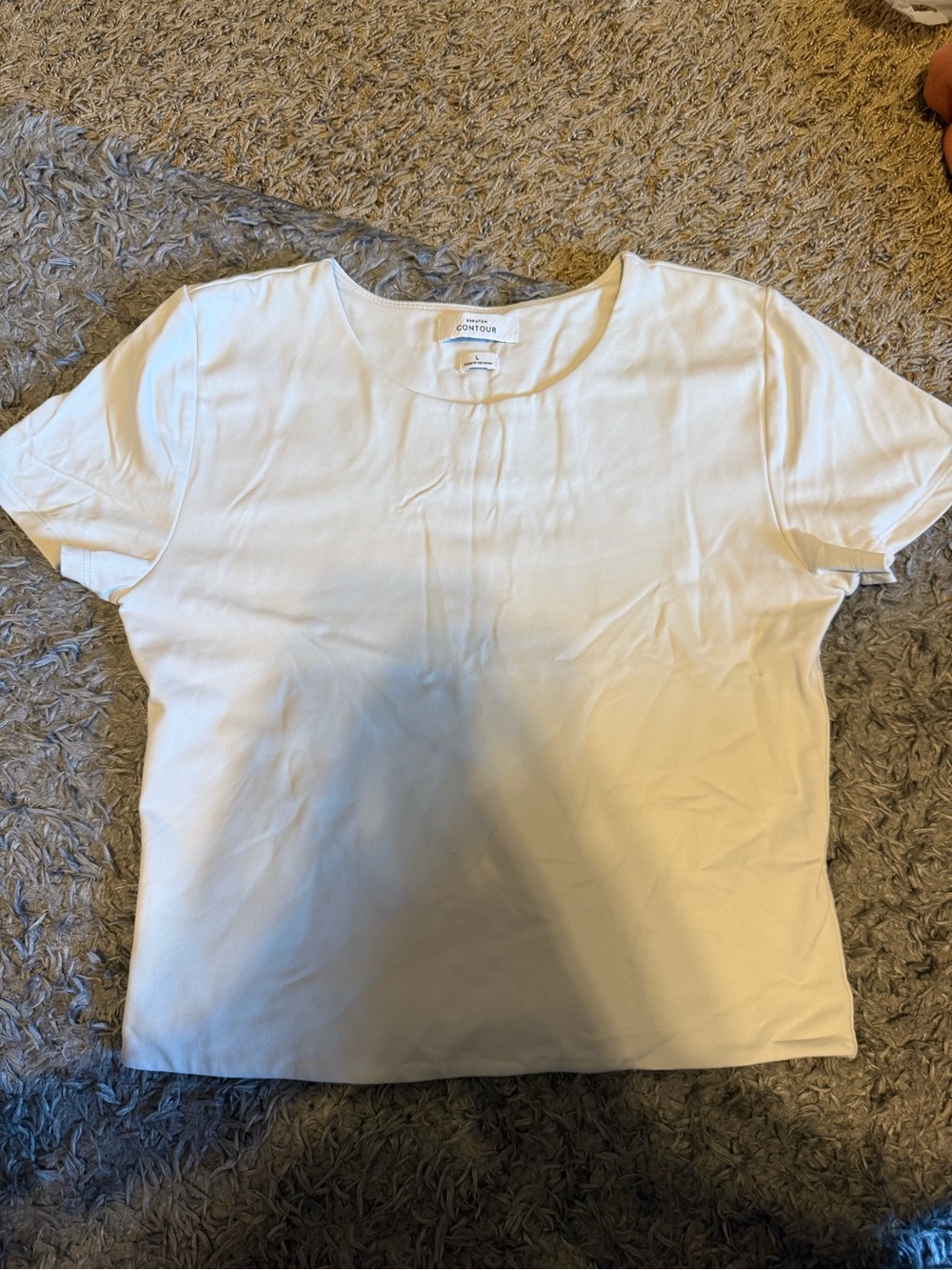 Aritzia Babaton Shirt